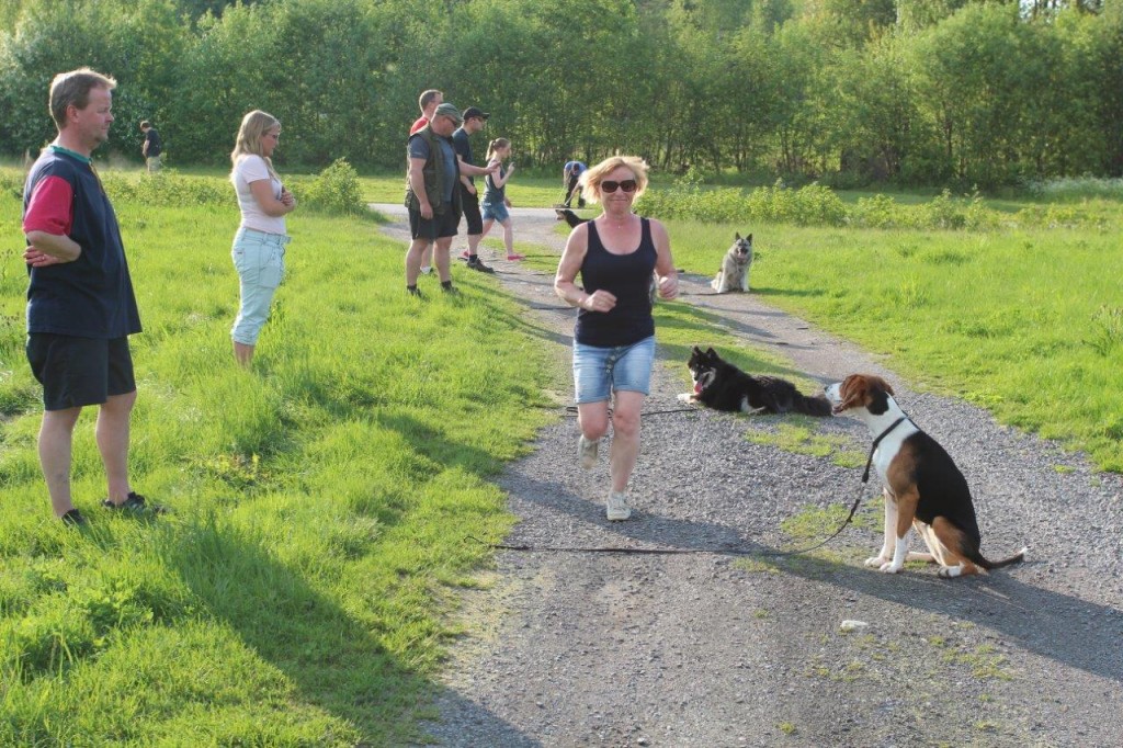 Kursleder Kirsten Opdal Eriksson prøver å stresse hundene ved å springe mellom dem og eierne.