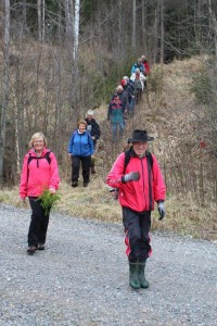 Her kommer de fremste av de 24 turgåere ut av skogen og ut på veien ved hyttefeltet høyt over Vestmarka.