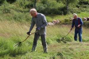 Finn Løkeberg (fremst) og Lars Woie brukte nyslipt redskap så både fuktig gras og jordrotter skvatt.