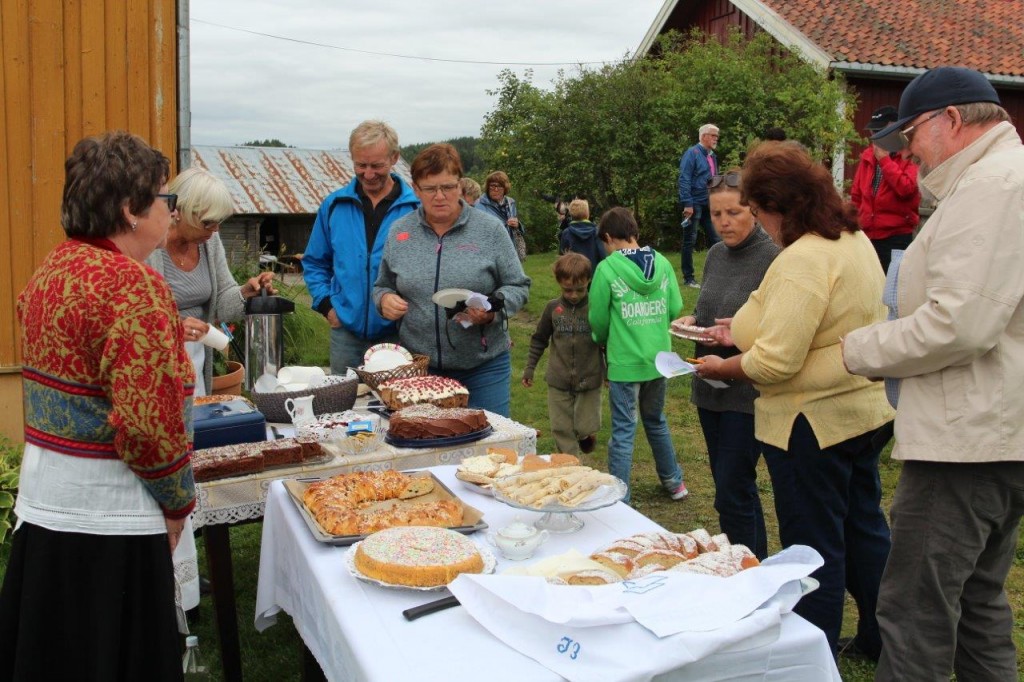 Også denne gangen ble det solgt hjemmebakte kaker på festdagen på Eidskog bygdetun Almenninga.