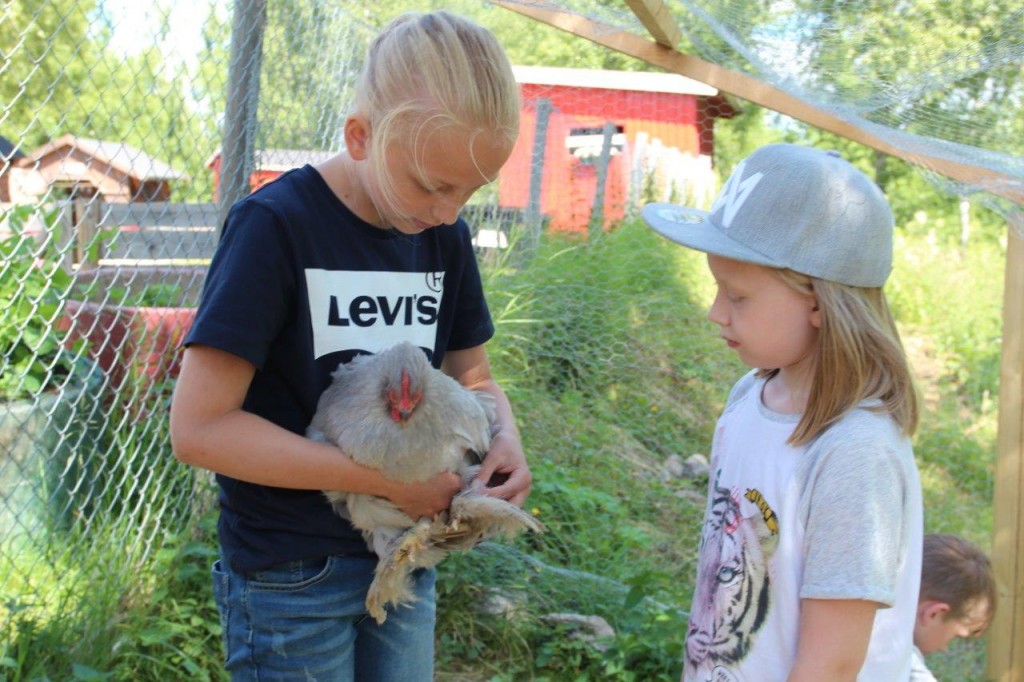  Sommervikar Tuva viser gjesten Selma at hønene i barnehagen er både rolige og snille.