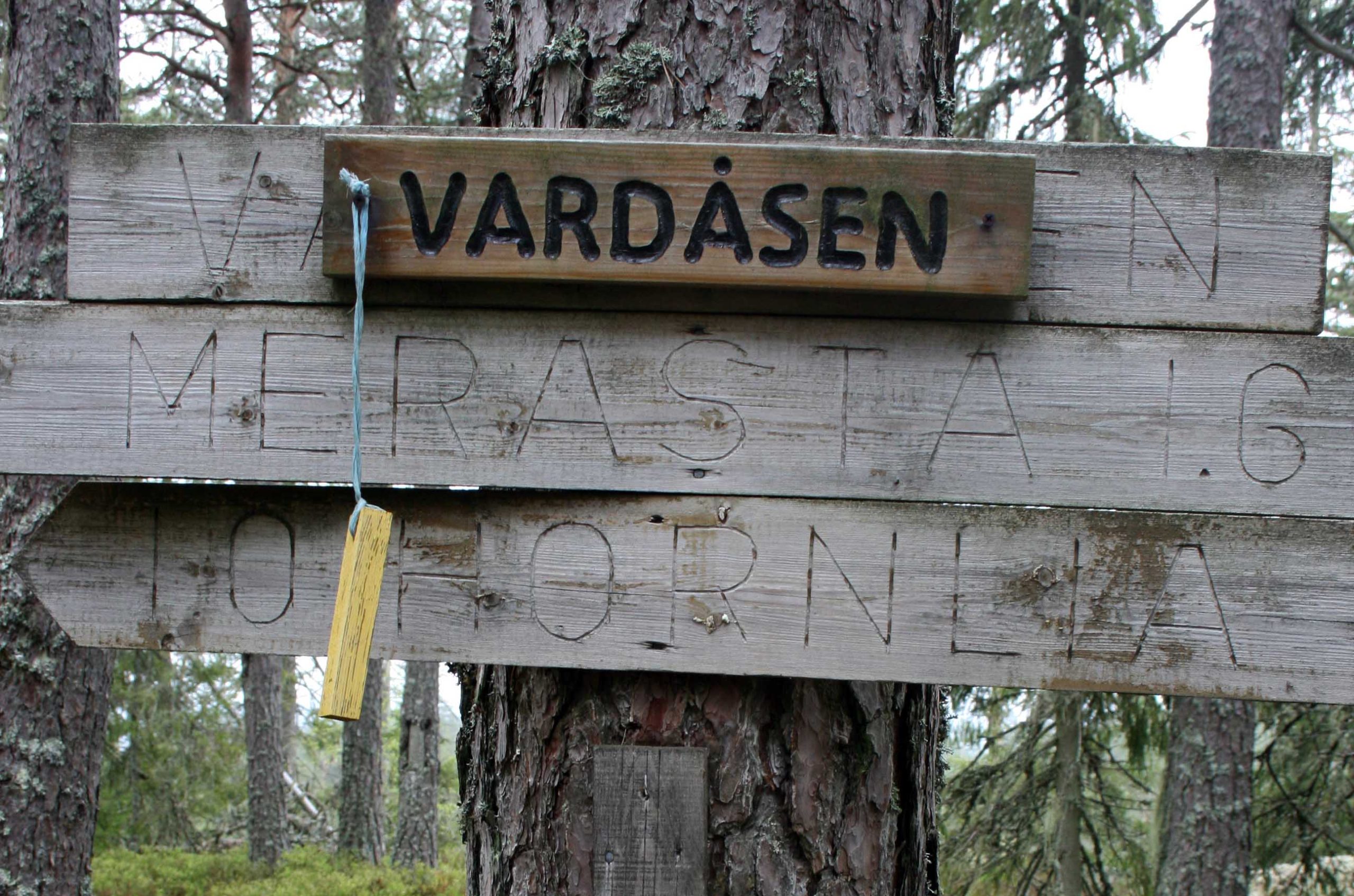 Sprekinger i 2024 – Vardåsen – Velkommen til Vestmarka!